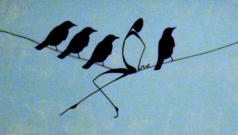 Birds on a wire